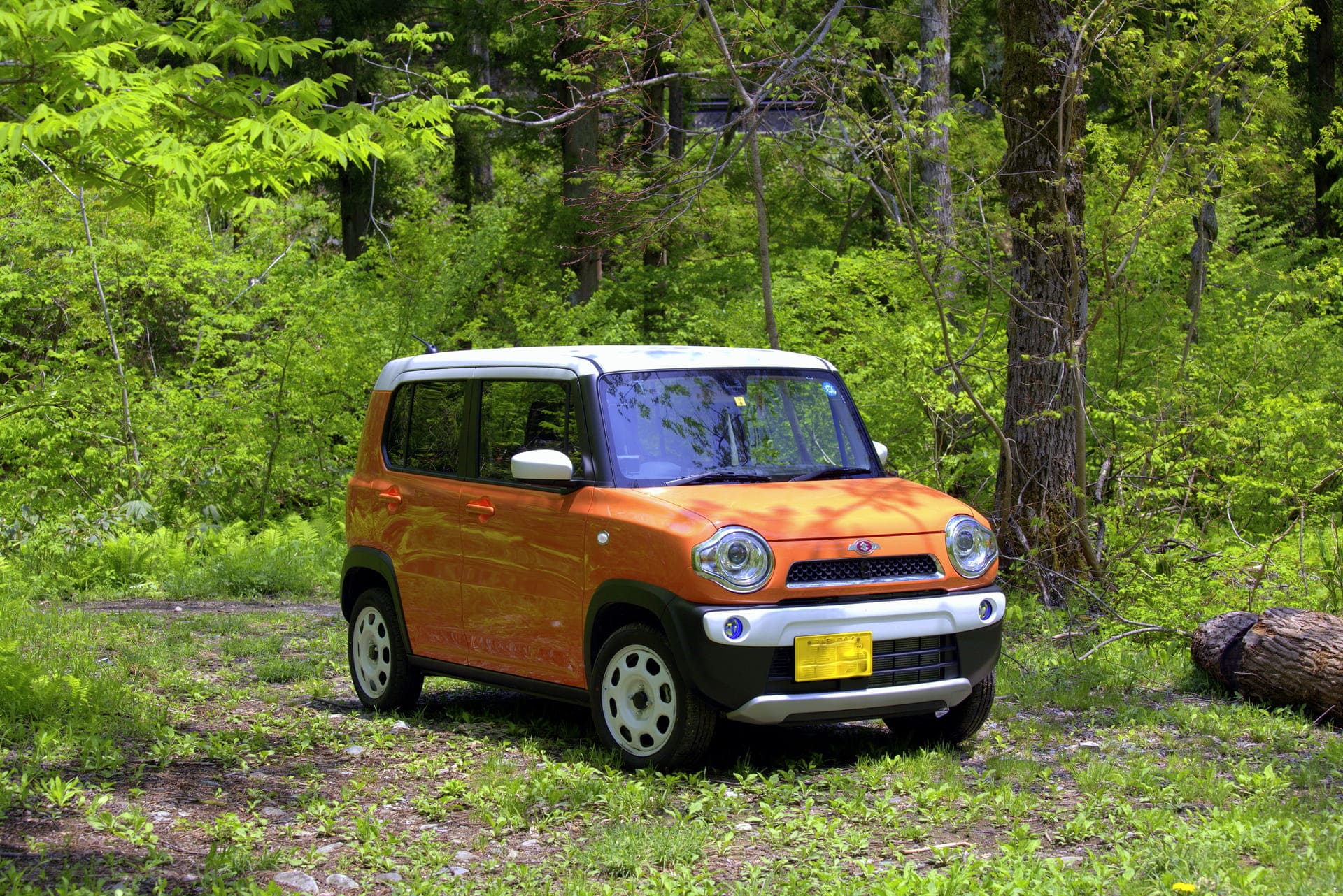 軽自動車・コンパクトカー